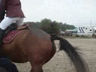 Championnats de Bourgogne