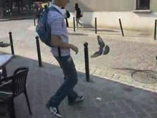 Johan Avec Le Pigeon