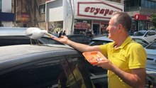 Martı ‘Pamuk’ esnafın maskotu oldu