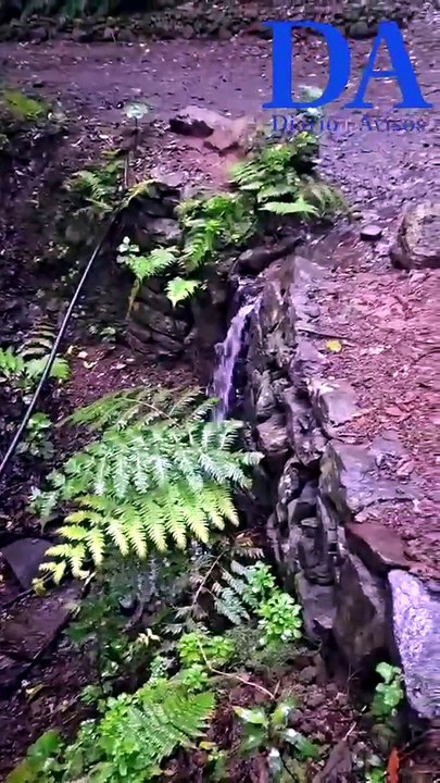 Una tubería rota vierte agua sin descanso desde hace meses en pleno corazón de Anaga