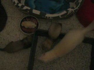 Eglantine et sa môman