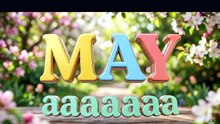 Quiz : guess the word /phrase