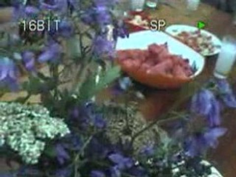 amlakit yaylası-ÖZCAN TATİL6-KAVRUN.TR.GG