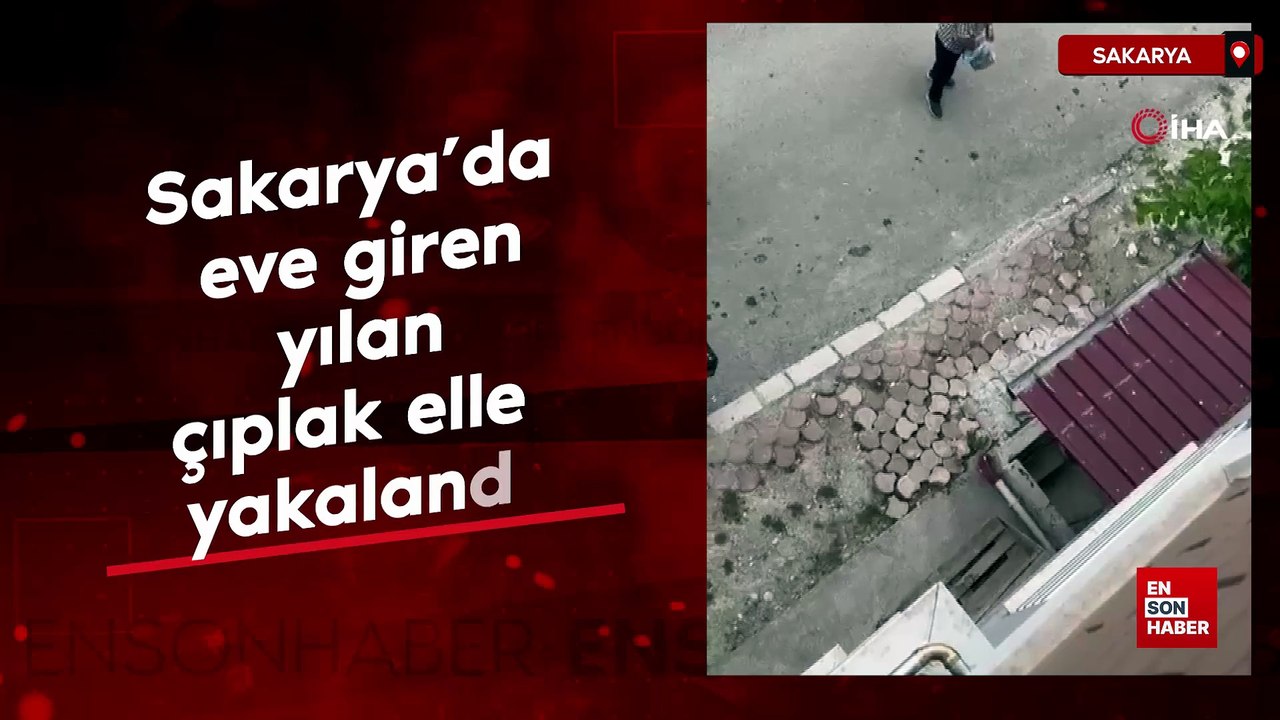 Sakarya'da eve giren yılan çıplak elle yakalandı