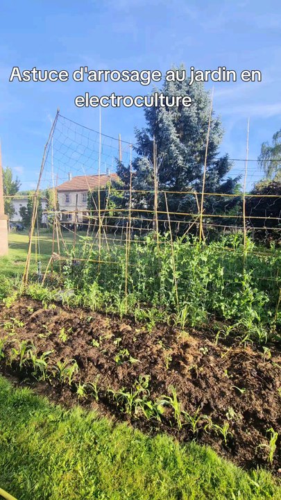 Electroculture astuce d'arrosage au jardin