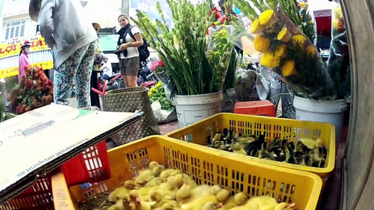 Jour 170 - Vietnam HD
