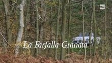Gigi Meroni: La farfalla granata [FilmTv 2013] HQ