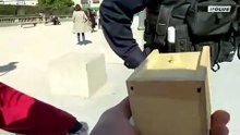 spider prank