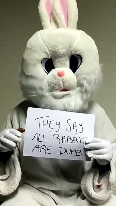 they say all rabbit
