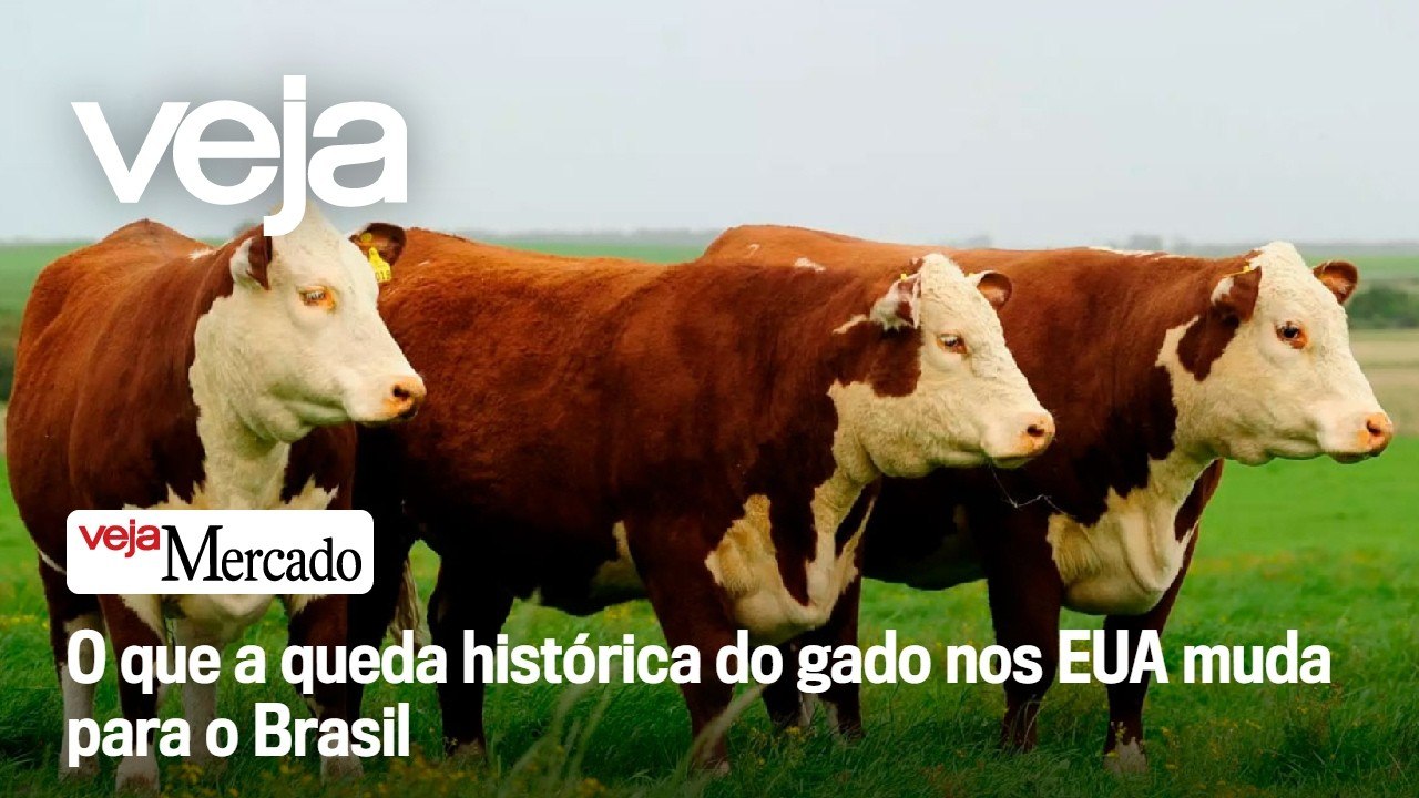 O que a queda histórica do gado nos EUA muda para o Brasil