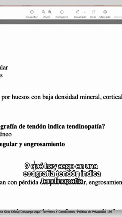 ¿Cómo identificar tendinopatía en una ecografía Señales claras y explicaciones EGEL FISIOTERAPIA