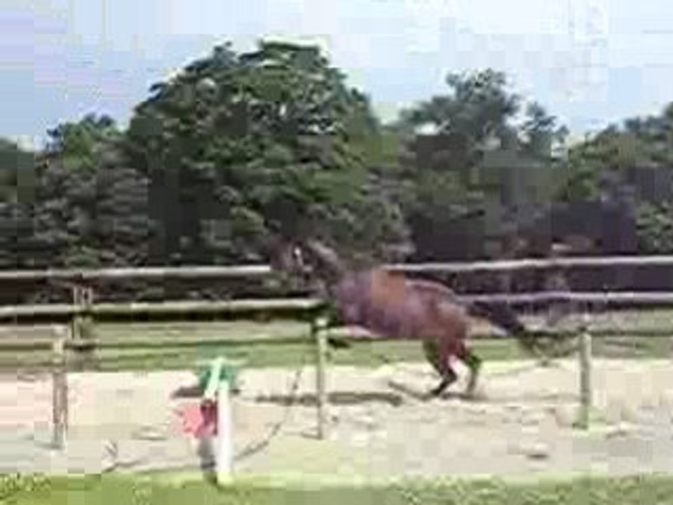 Perle : saut en liberté 2