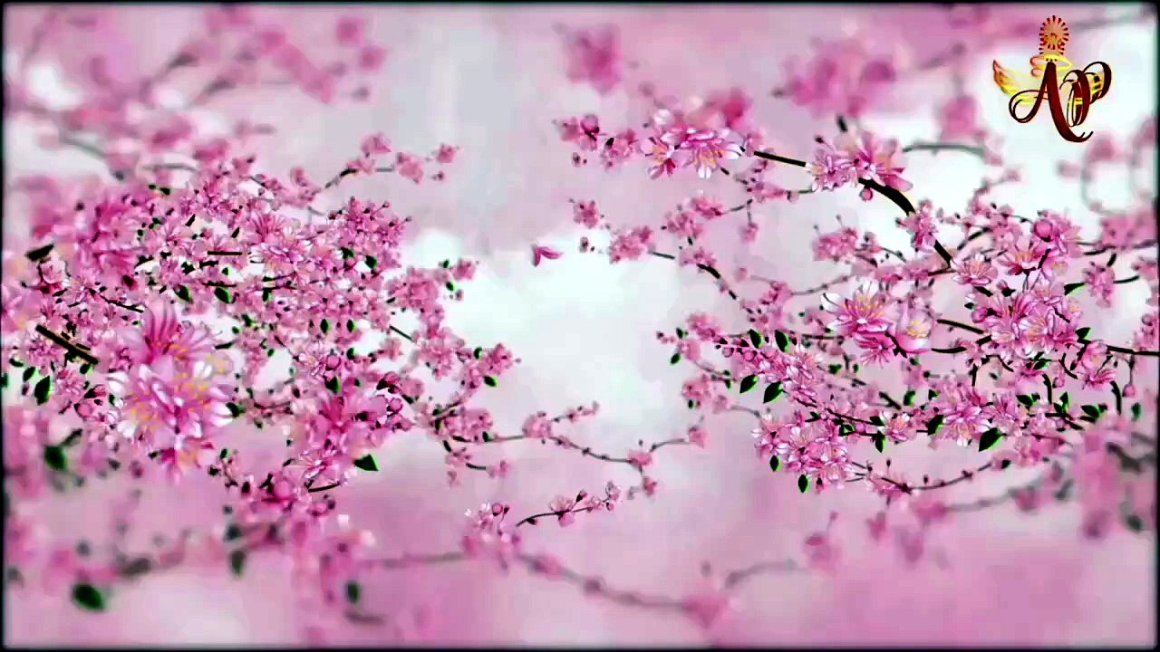 Tôi là ngọn hải đăng và trạm điện