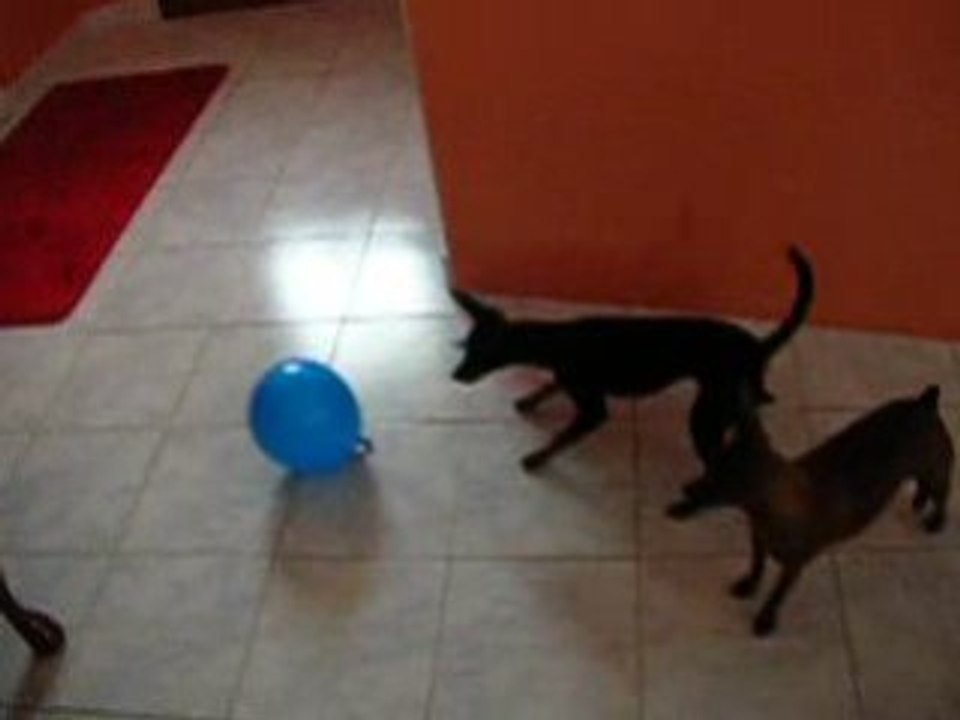 Ballon