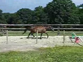 Perle : saut en liberté 3