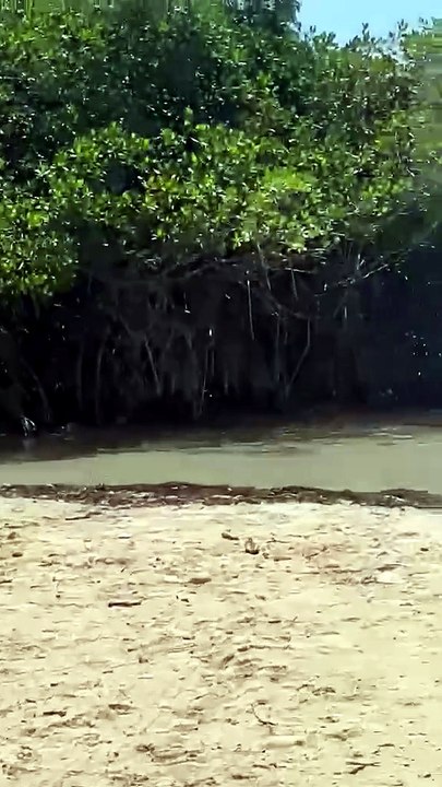 PLAYA CAOBITA DE AZUA REGION SUR REPUBLICA DOMINICANA