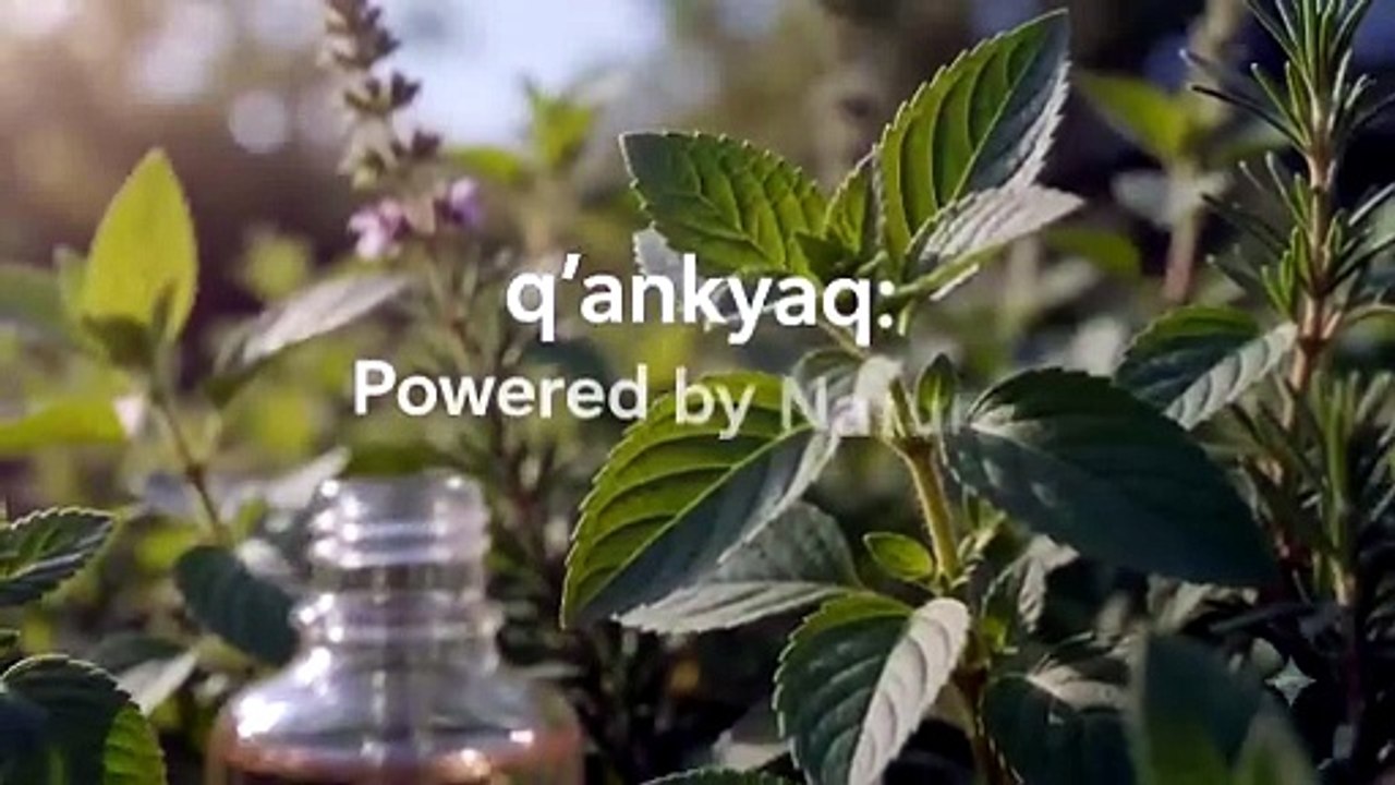 https://www.qankyaq.com/