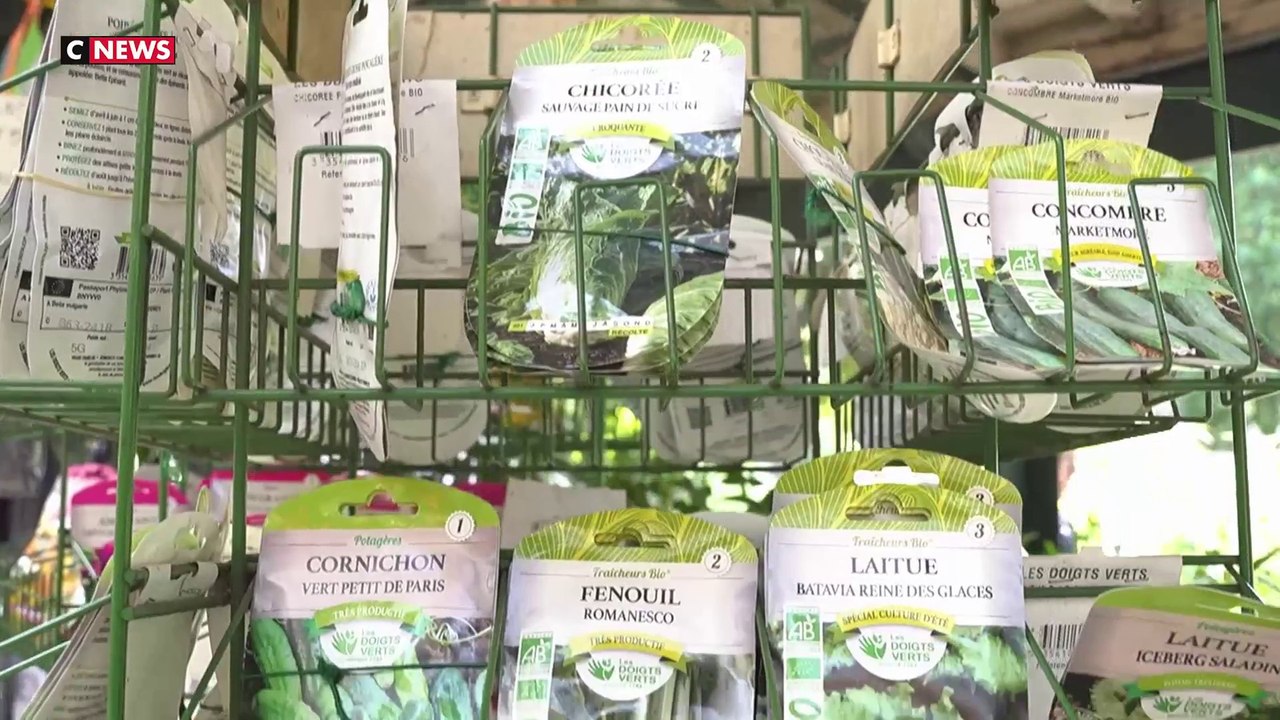La mode des mini potagers sur les balcons