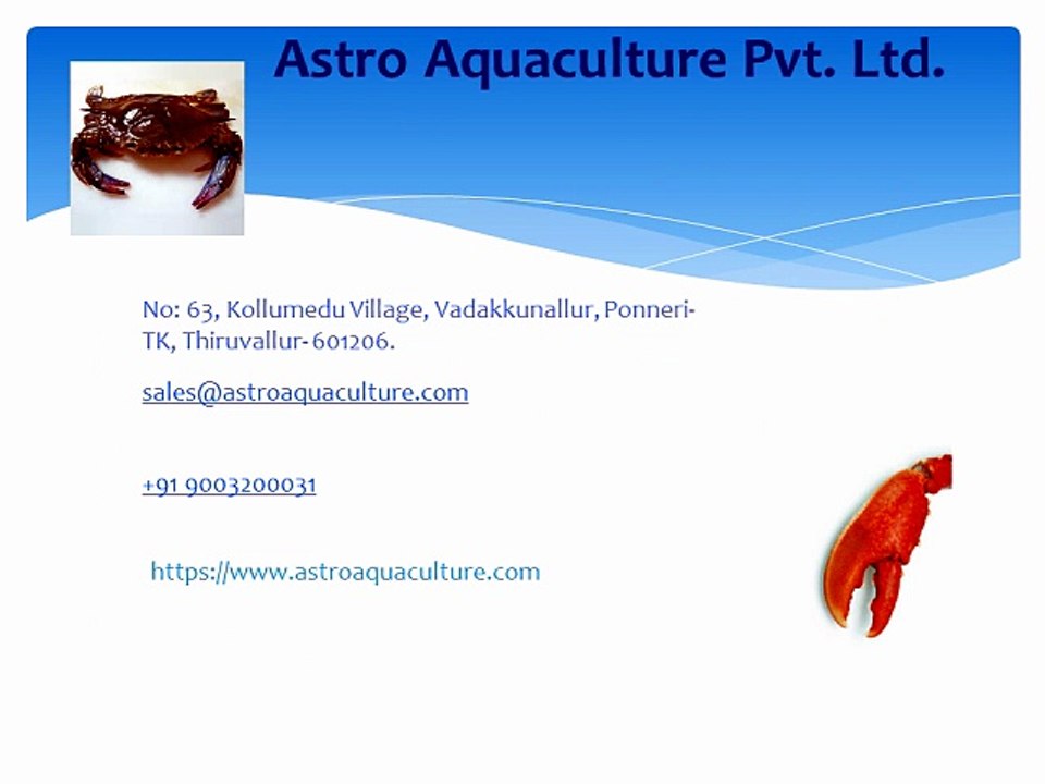 Mud crab aquaculture