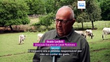 Entre tradição e inovação: conheça os vaqueiros de Itália