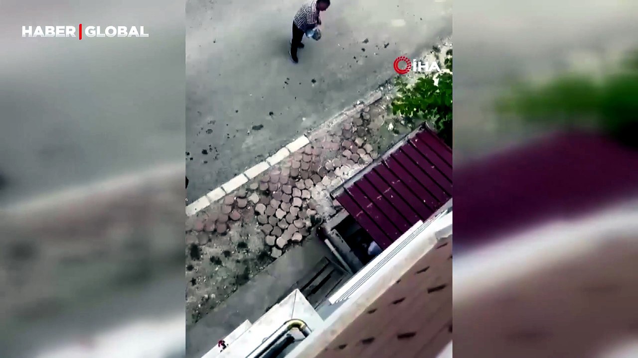 Eve girip paniğe sebep olan yılanı çok rahat bir şekilde eliyle yakaladı