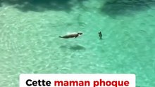 L’amour maternel 💚