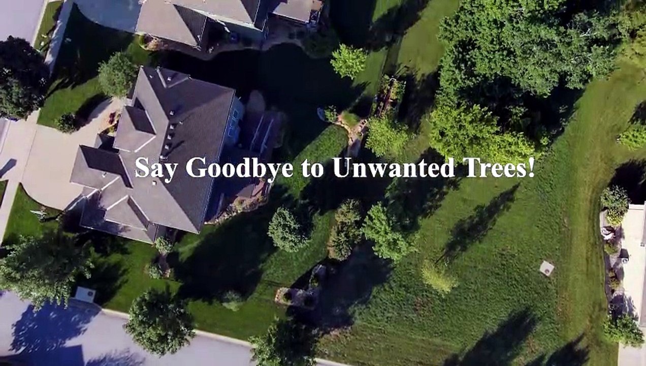Tim’s Tree Removal of Santa Ana