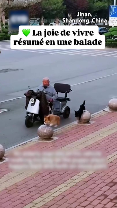 La joie de vivre en une balade