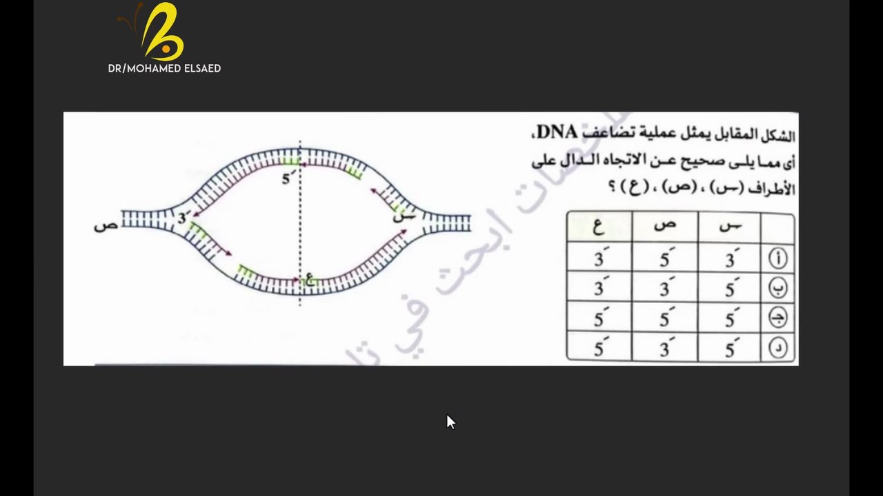 فنيات تضاعف الـ DNA 🧬 | أخطاء شائعة يقع فيها ا...