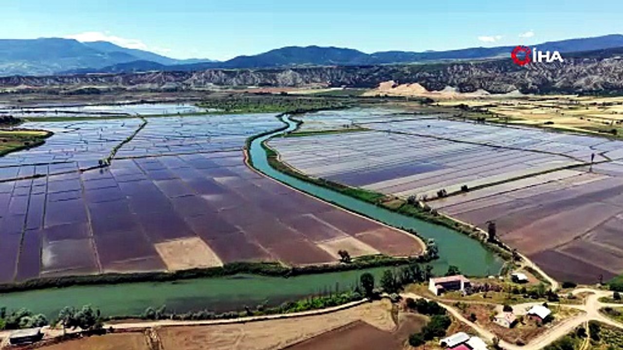 Osmancık’ta çiftçilerin ekim mesaisi başladı