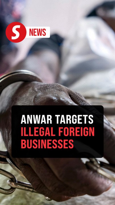 Multi-agency efforts needed to stop illegal business by foreigners, says PM Anwar