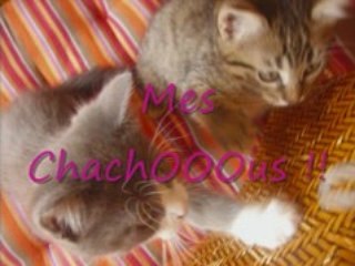 Fin d'année ensemble !