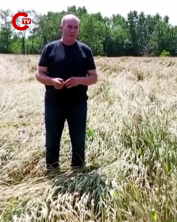 Edirneli buğday üreticisinden TMO’ya fiyat tepkisi Çiftçinin ekmeğiyle, alın teriyle oynamayın