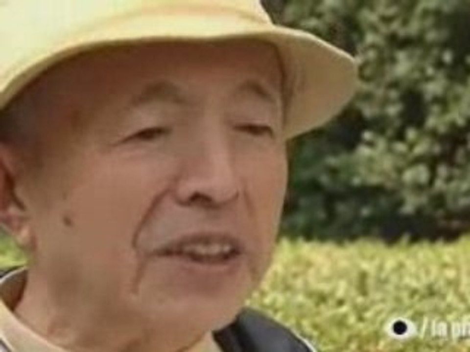 6/6 - Un oeil sur la planète,Japon : le réveil du sumo?