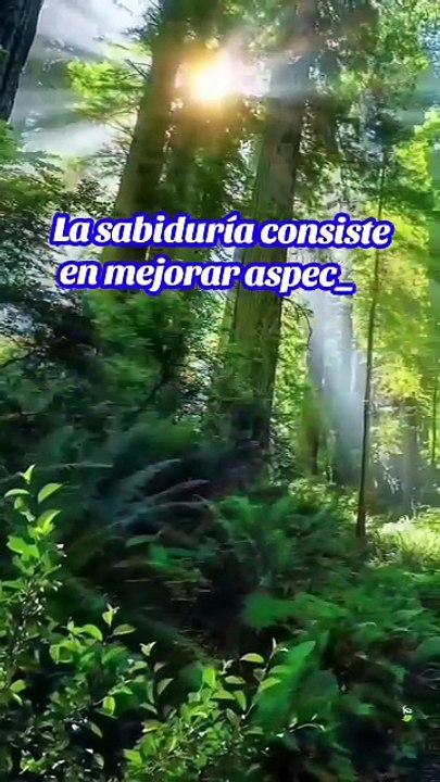 La sabiduria es para los modestos.