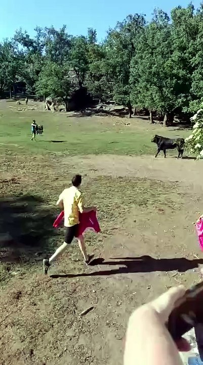 Cogida en el Lavalenguas