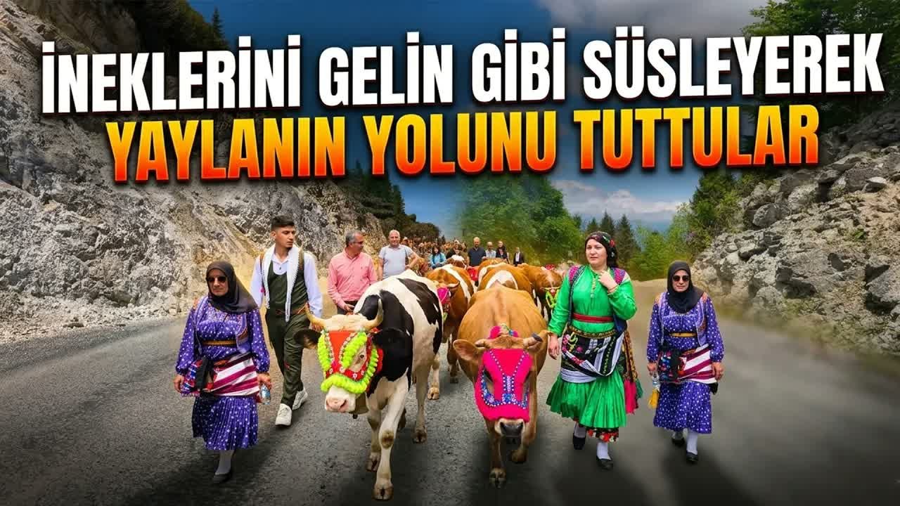 Trabzon'un Şalpazarı ilçesinde geleneksel yayla göçü başladı