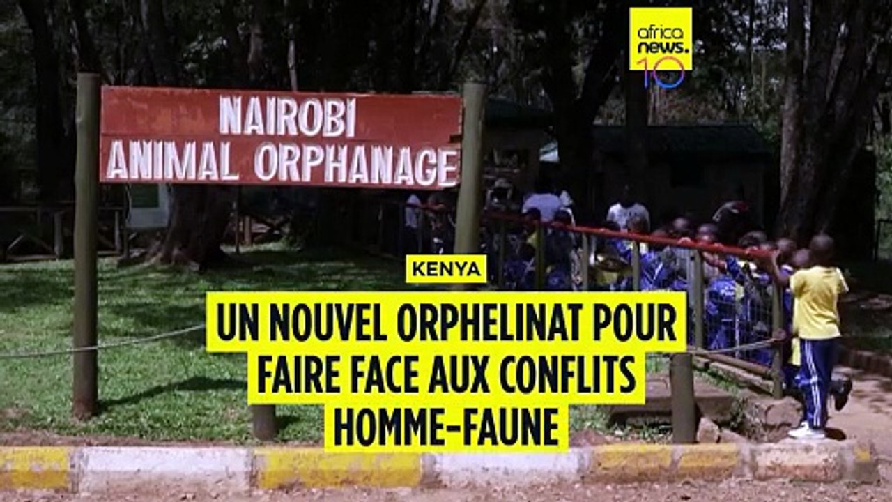 Kenya : un nouvel orphelinat à Nairobi pour les animaux sauvages