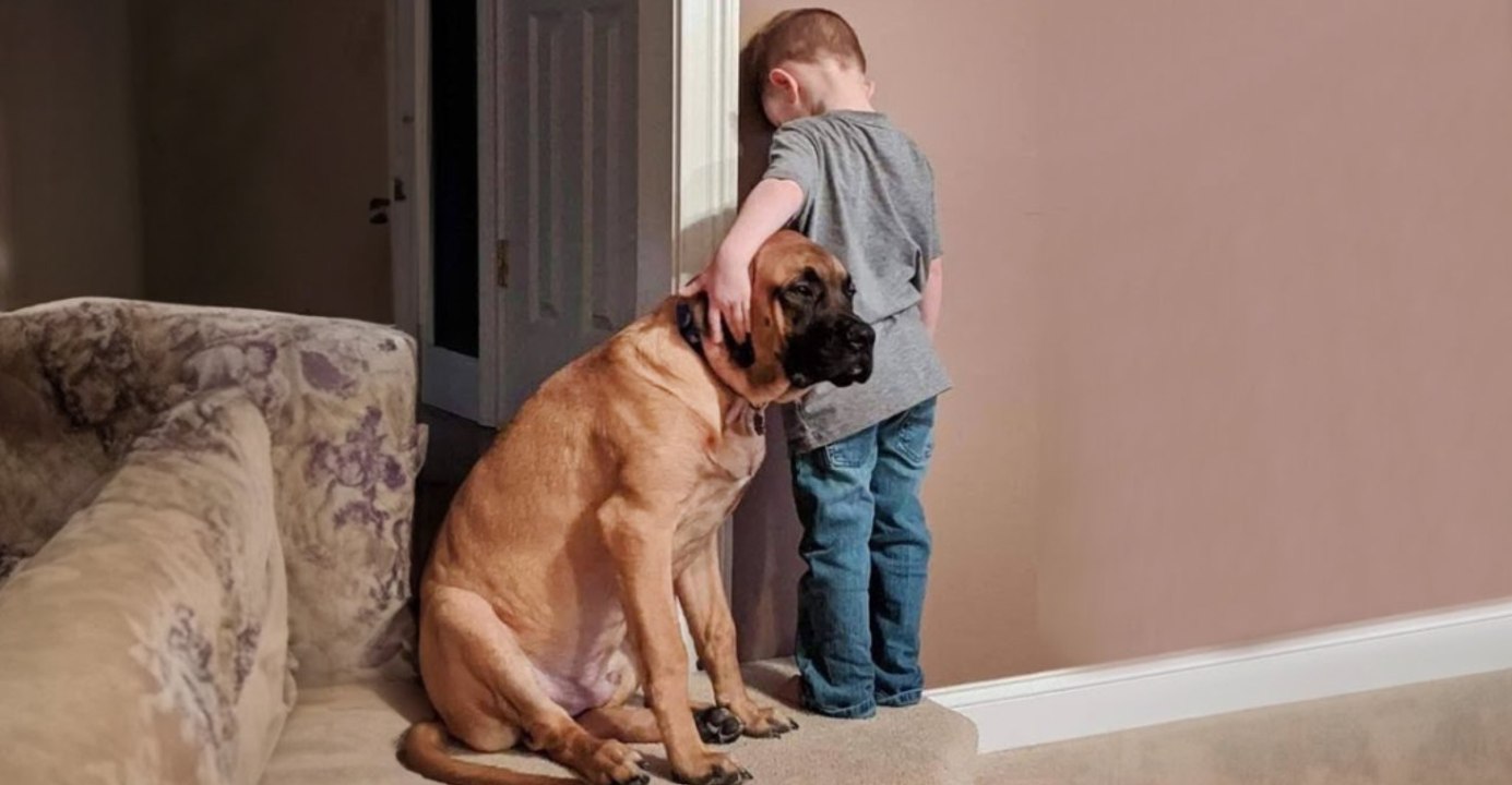 Debunking 12 Dog Myths You Probably Believe