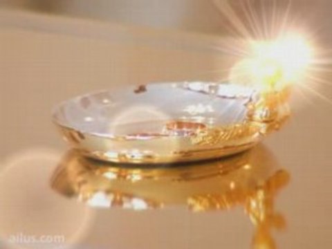 Свадебный ролик. Елена и Олег