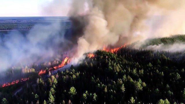 Fire Tornado (2026) - Trailer