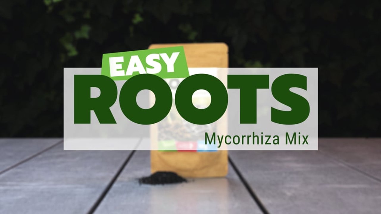 Easy Roots - Mezcla de Micorrizas