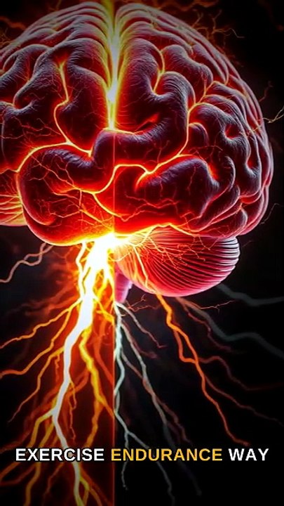 Your Brain Controls How Long You Exercise