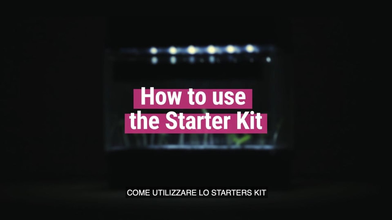 Come Utilizzare Lo Starters Kit Di RQS