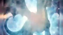Dragon Lord- Rise From The Ashes (2026) - Complete Episode - Dark Fantasy, Short Film, Kingdom War