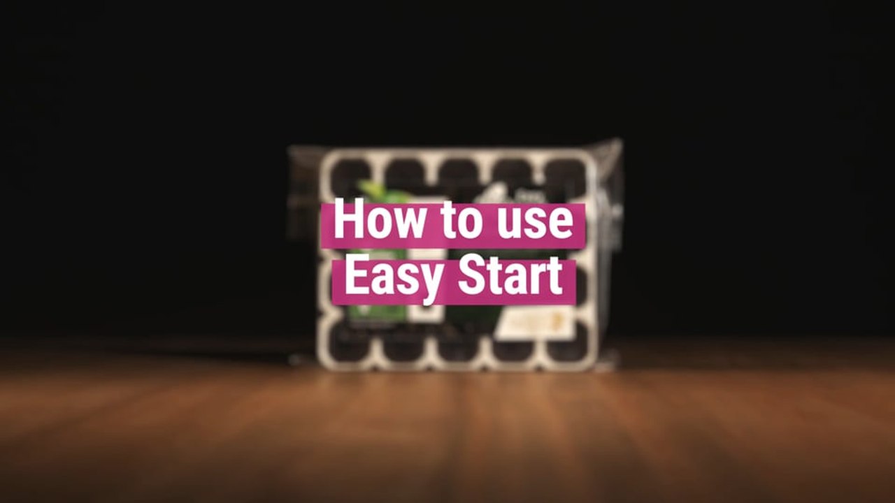 Easy Start [How to use it]