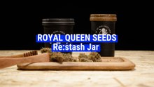 Re:Stash Jar by Royal Queen Seeds