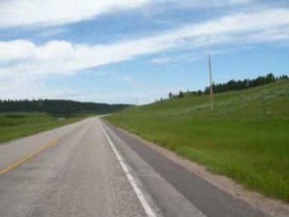 Day 61 Ma 2ème biche