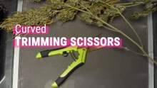 Curved Trimming Scissors