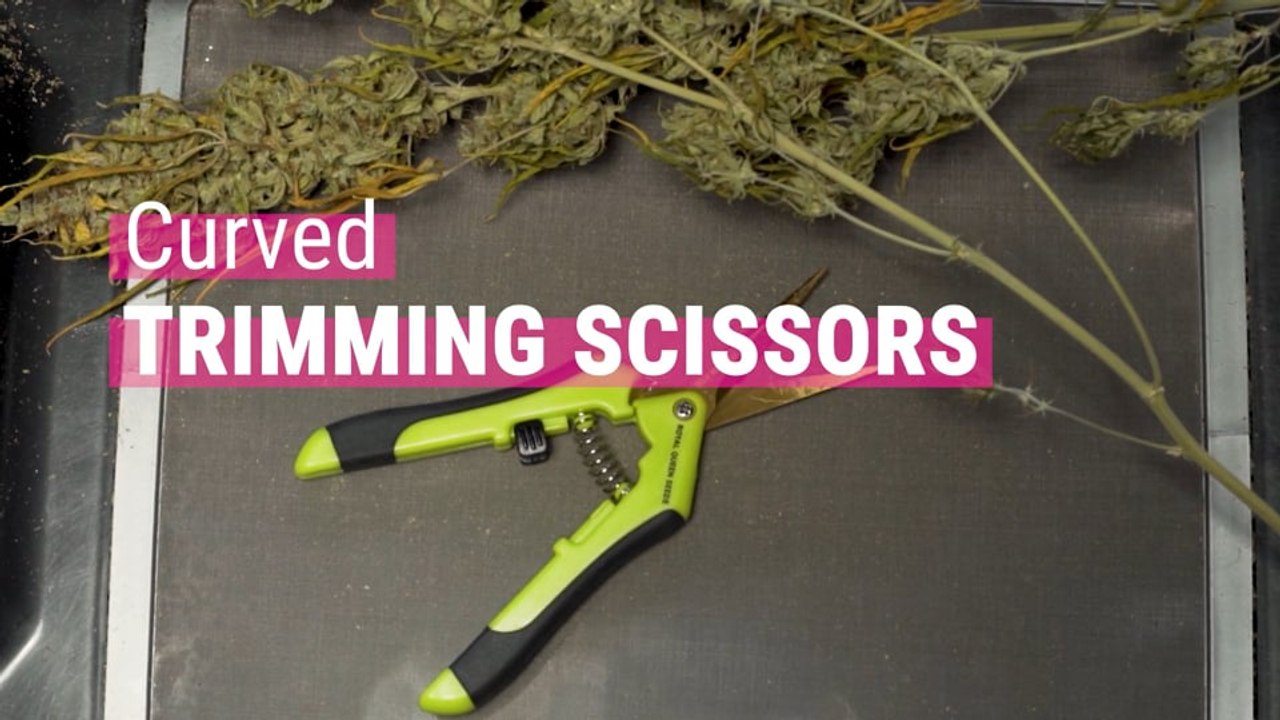 Curved Trimming Scissors